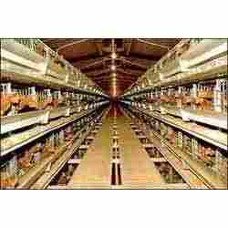 Poultry Cage System