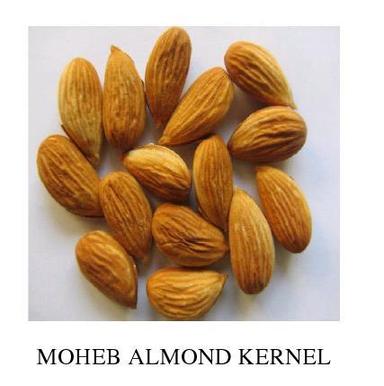 Moheb Almond Kernel