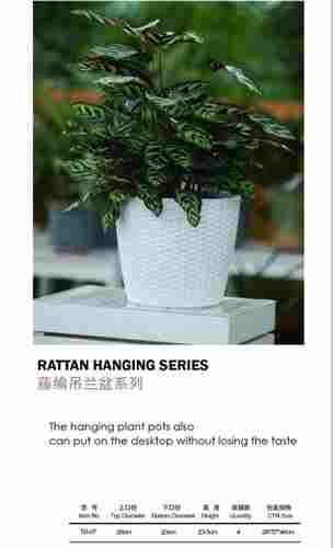 Rattan Hanging Series Self Watering Flower Pot (Yr-Rh012)