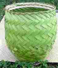 Coconut Basket