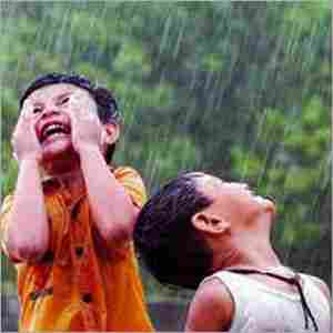Kerala Monsoon Tour Package Services