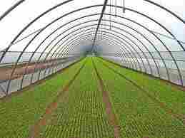 Green House Irrigation System