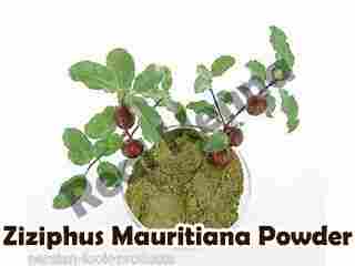 Ziziphus Mauritiana Powder
