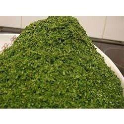 Dried Coriander Leaves Health Supplements
