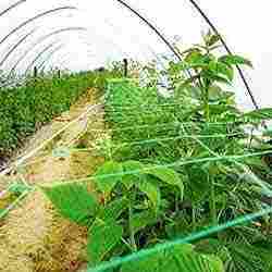 Cultivation Net For Control Temperature