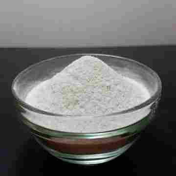 Lactobacillus Fermented Green Tea Powder