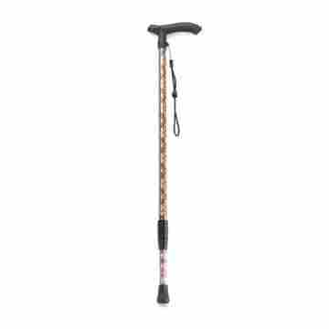 Cane Trekking Pole