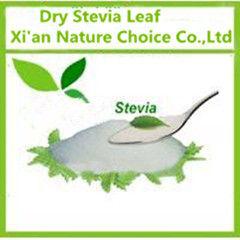 Stevia Leaf