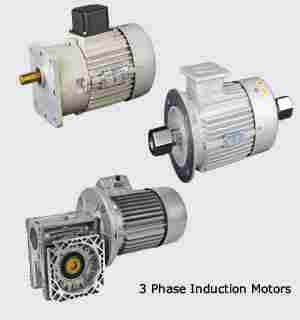 Three Phase Induction Motors
