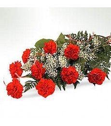 Red Carnations