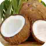 Pathare Coconut