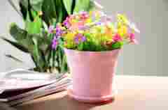 Decorative Mini Flower Pots