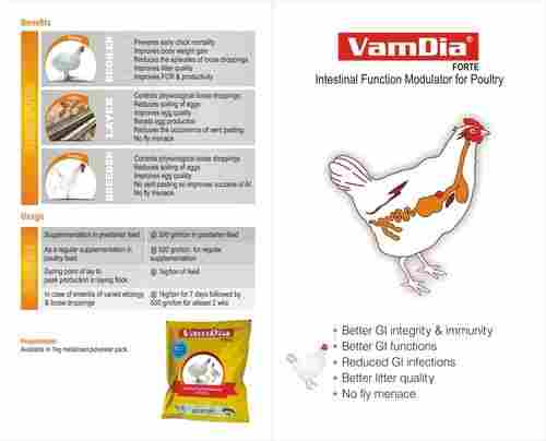 Vamdia Forte Intestinal Function Modulator For Poultry