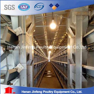 H Type Automatic Chicken Layer Cage