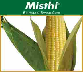 Hybrid Sweet corn seeds