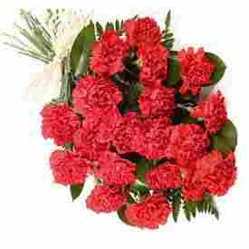 Red Carnations Bouquet