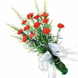 Red Carnations Bunch Bouquet
