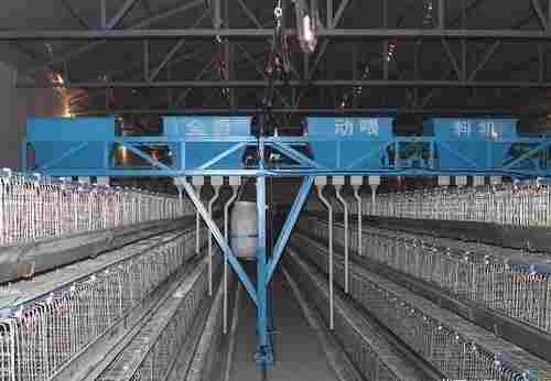 Automatic Poultry Farming Feeding System For Chicken
