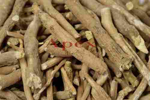 Withania Somnifera Root