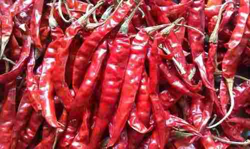 Dry Red Chilly