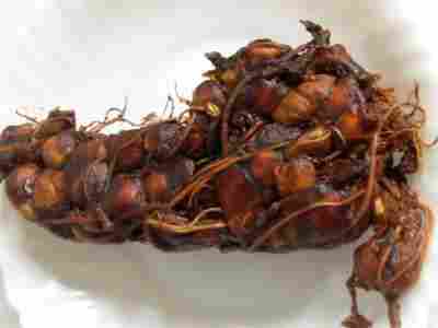 Organic Tamarind With Seed And Without Seed