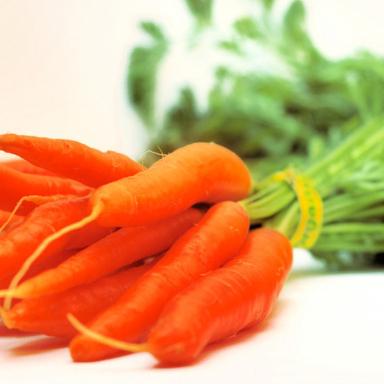Carrot Pulp