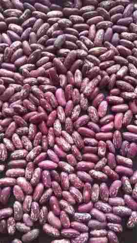 Purple Speckled Kidney Beans