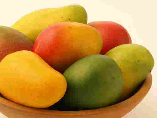 Ripened Fresh Mangoes