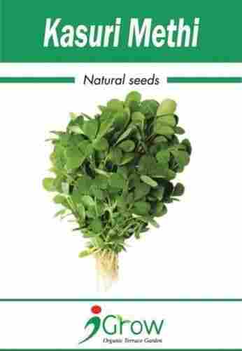 Naturally Treated Organic Kasuri Methi Seeds