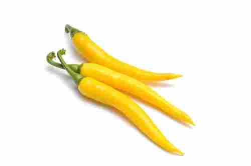 Lower Price Mp Yellow Chilli