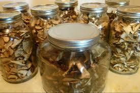Pickled Canned Mushrooms
