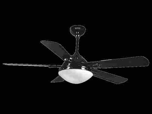 LED Light Fan