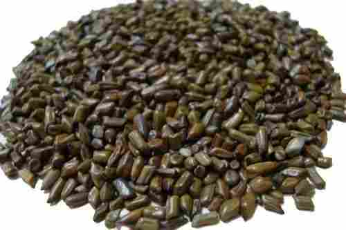 99% Machine Cleaned Cassia Tora Seeds