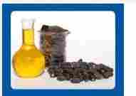 Organic Jatropha Seeds Oil