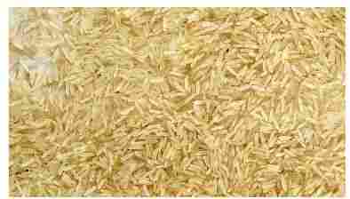 Sharbati Golden Sella Rice