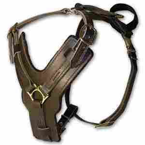 Harnesses For Horse, Dogs And Cats
