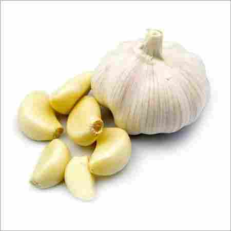 Organic Purified Garlic Dried Powder