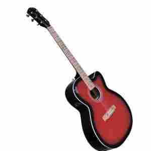 Signature Gogos Topaz Series Acoustic Guitar