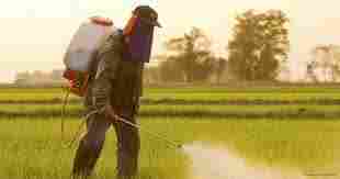 Agriculture Pesticides
