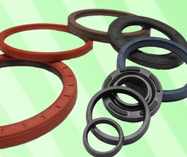 Stainless Steel Oil Seal