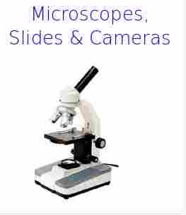 Microscope Slide And Cameras