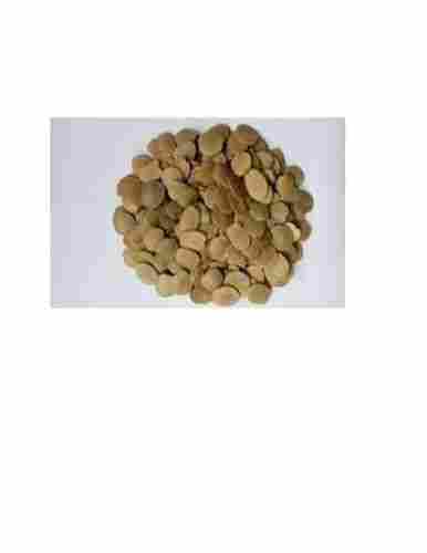 Eurycoma Seeds