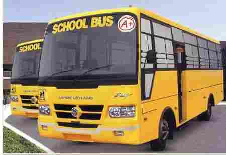 Stag School Bus