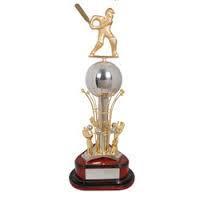 Cricket Game Trophy