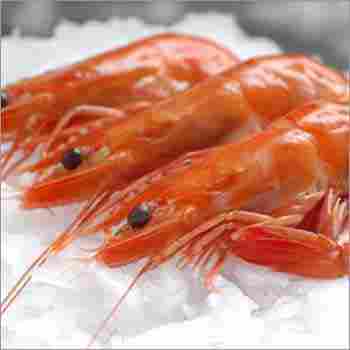 Top Quality Frozen Vannamei Shrimp Cooked Head On Shell