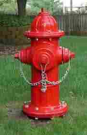 Fire Hydrants (RFSS-12)