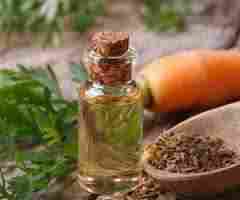 Carrot Seed Oils