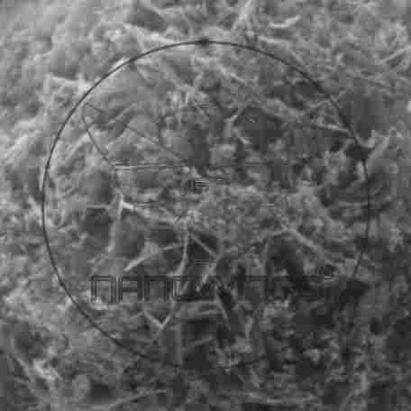 Zinc Oxide Nanoparticle
