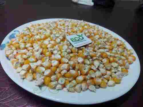 Export Quality Yellow Maize