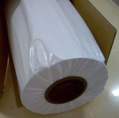 White Paper Poly Coated Roll